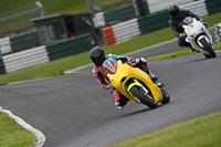 Middle Group Yellow Bikes